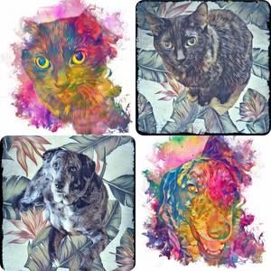 Meet your Posher, Casey